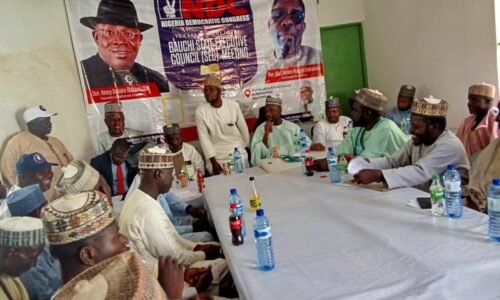 Bauchi NDC Congress Ends Peacefully, New Leadership Takes Charge