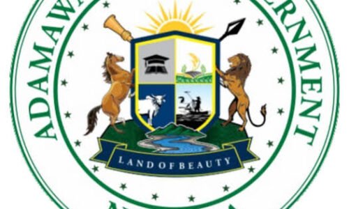 Adamawa disburses N3.7 bn to 72,000 small business owners –DG