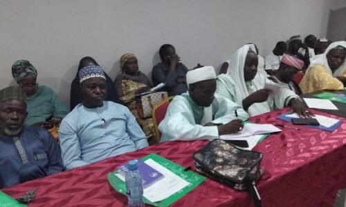 Experts warn against home births as Bauchi battles high under-5 mortality
