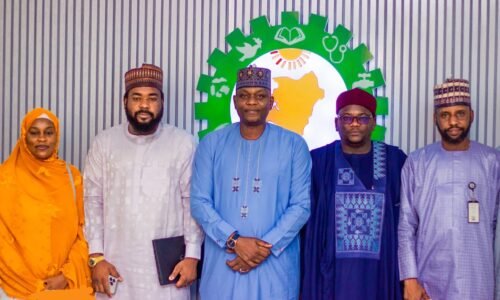 NEDC, groups to tackle desertification issues in Yobe