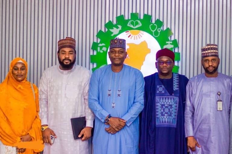 NEDC, groups to tackle desertification issues in Yobe