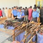 Yobe: Police arrest 240 suspects in 3 months