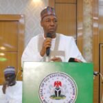 Borno 2027 budget to consolidate Zulum’s achievements — SSG