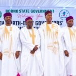 Zulum commends Tinubu for reviving Kolmani oil exploration